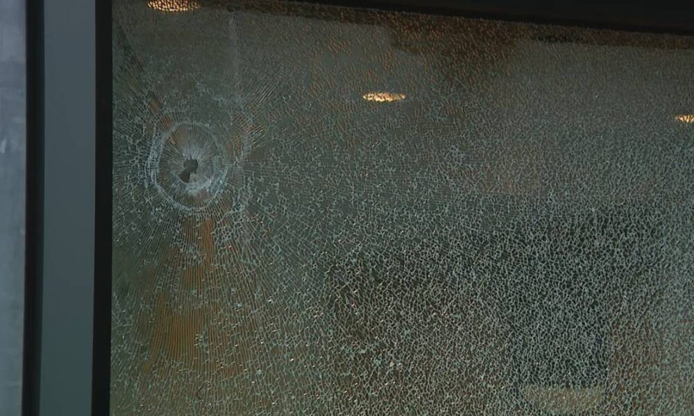 Close-up of a glass door with a circular impact point and radiating cracks in the pane.