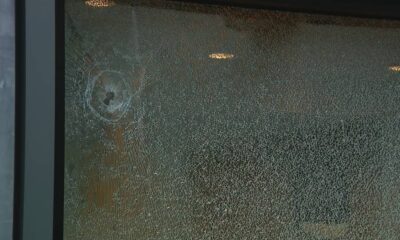 Close-up of a glass door with a circular impact point and radiating cracks in the pane.