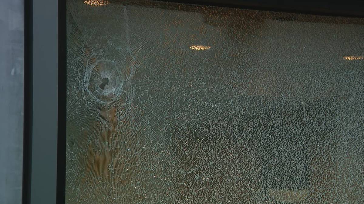 Close-up of a glass door with a circular impact point and radiating cracks in the pane.