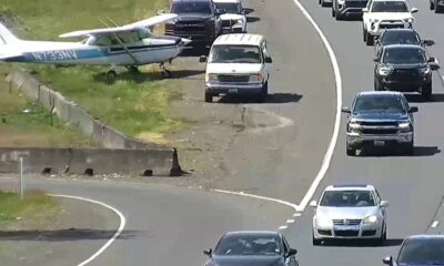 Small white and blue single-engine plane on a grassy verge beside a busy highway with cars passing by.