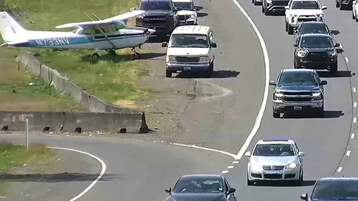 Small white and blue single-engine plane on a grassy verge beside a busy highway with cars passing by.