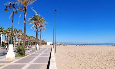 Palm-lined boardwalk with a sandy beach and calm blue sea under a clear sky; people strolling in the distance.