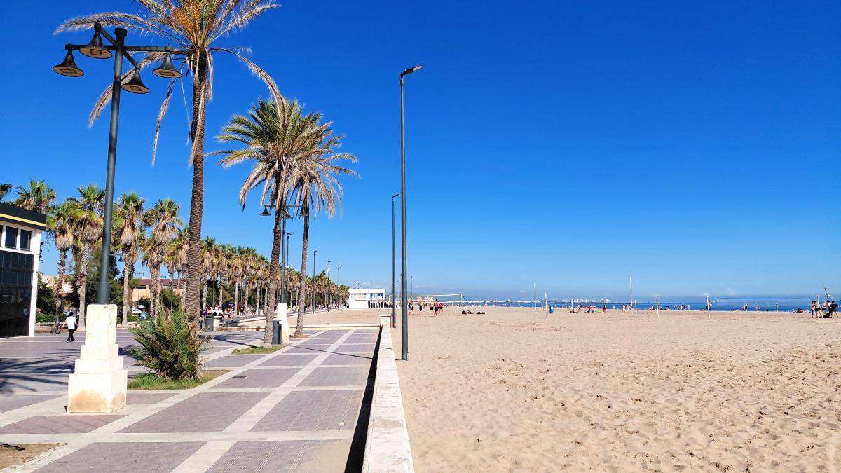 Palm-lined boardwalk with a sandy beach and calm blue sea under a clear sky; people strolling in the distance.