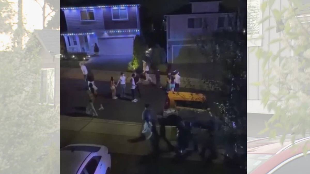 Group of people walking along a residential street at night, with houses and string lights visible in the background.