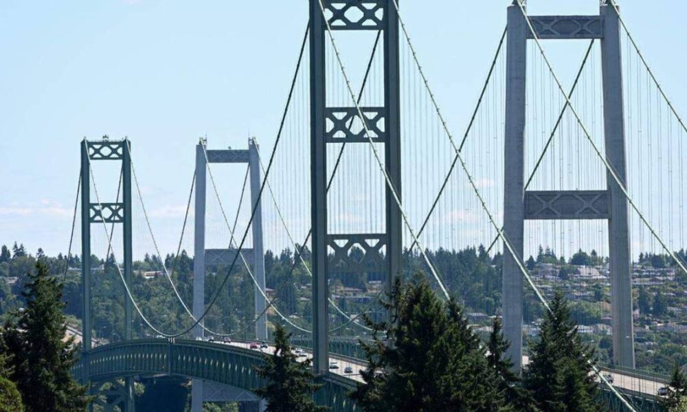 Suspension bridge with tall towers and crisscrossing cables over a forested valley, cars on the roadway beneath.