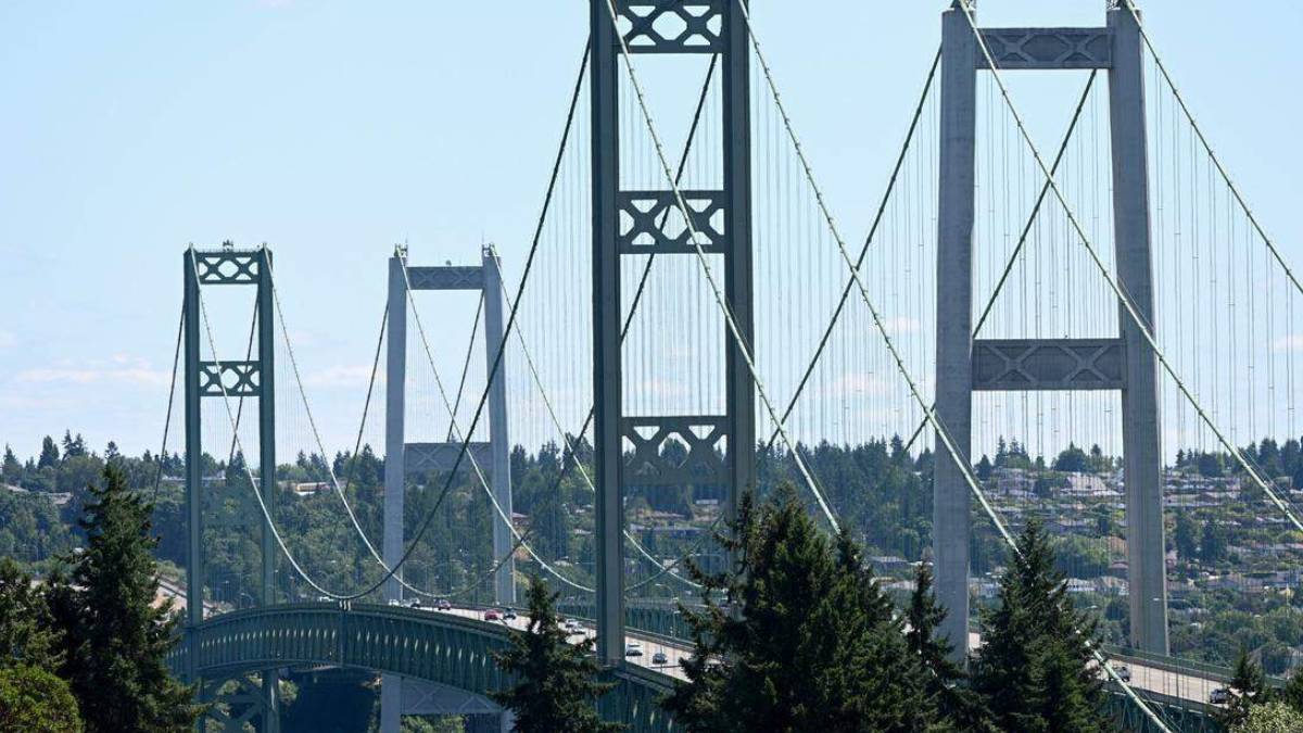 Suspension bridge with tall towers and crisscrossing cables over a forested valley, cars on the roadway beneath.