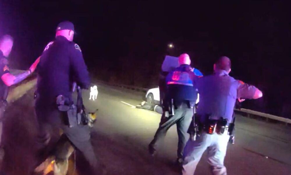 Nighttime roadside police scene with several officers surrounding a person near a white vehicle, illuminated by flashing emergency lights and a dark backdrop of the road.