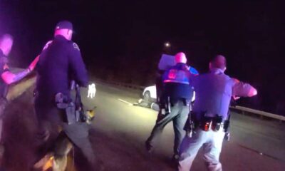 Nighttime roadside police scene with several officers surrounding a person near a white vehicle, illuminated by flashing emergency lights and a dark backdrop of the road.