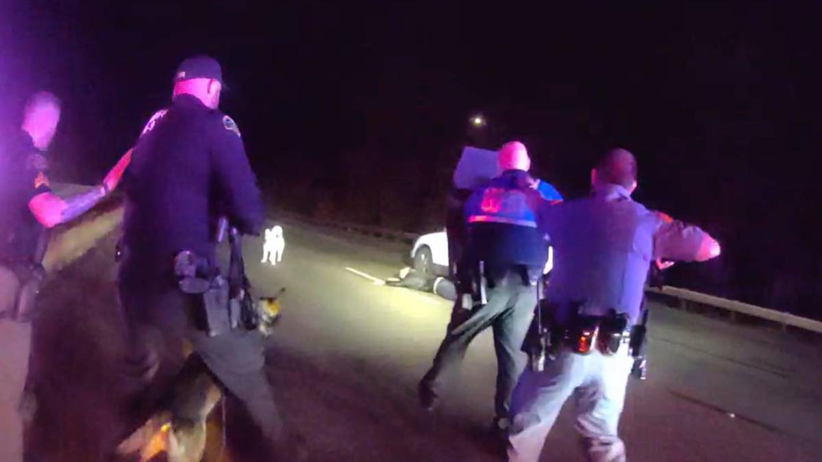 Nighttime roadside police scene with several officers surrounding a person near a white vehicle, illuminated by flashing emergency lights and a dark backdrop of the road.