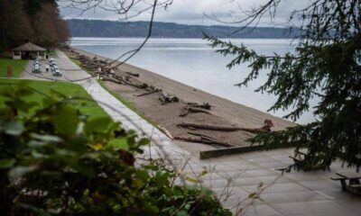 Lakeside park with a concrete path, logs on the pebble beach, and picnic tables under a cloudy sky.