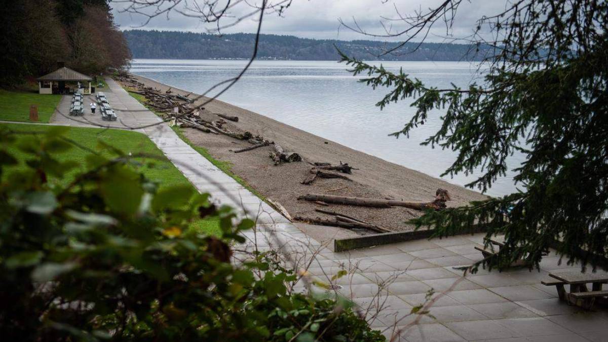 Lakeside park with a concrete path, logs on the pebble beach, and picnic tables under a cloudy sky.