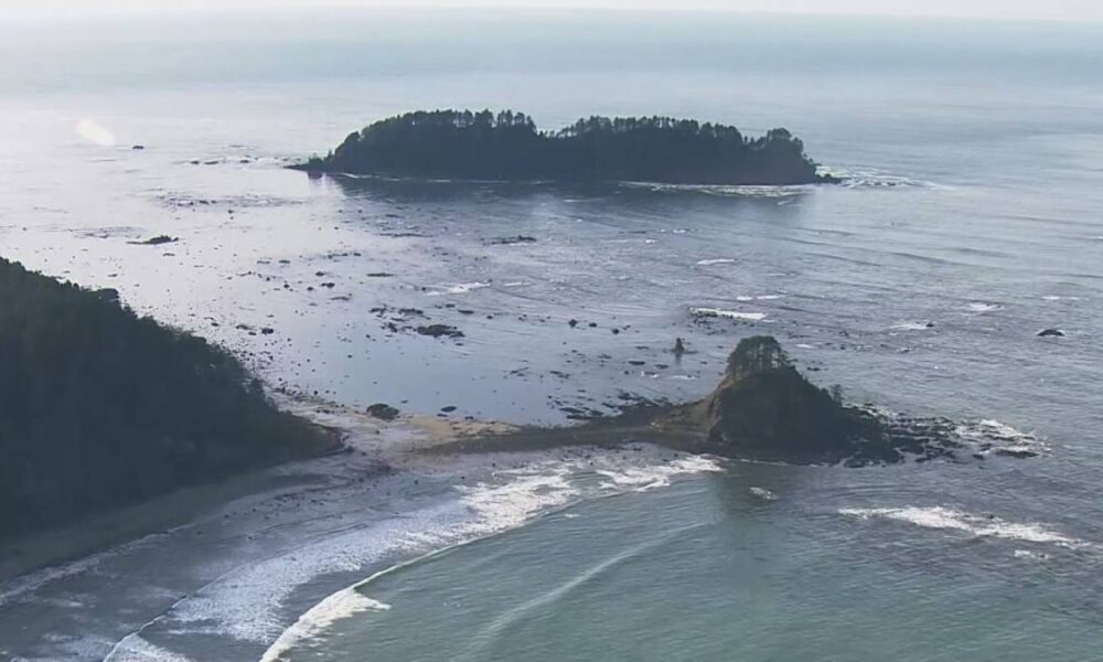 Aerial view of a rocky coastal shoreline with a small forested island in calm ocean waters behind.