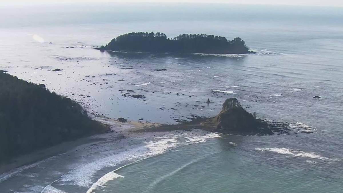 Aerial view of a rocky coastal shoreline with a small forested island in calm ocean waters behind.