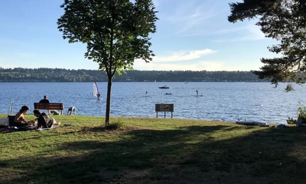 Picnickers on a grassy lakeshore under a tree, with calm water and people windsurfing and paddleboarding in the distance.