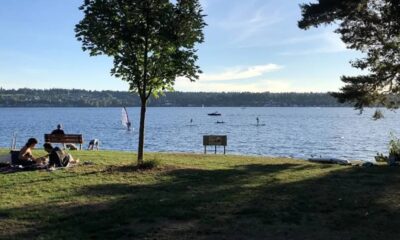 Picnickers on a grassy lakeshore under a tree, with calm water and people windsurfing and paddleboarding in the distance.