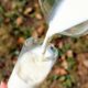 Milk is poured from a glass jug into a tall glass outdoors, with a blurred grassy background.