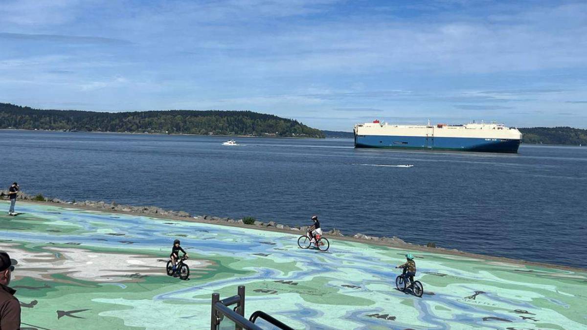 Bicyclists ride on a colorful mural-covered waterfront plaza with a large ship in the calm sea beyond and a forested shoreline in the distance.