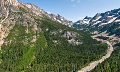 Winding highway cuts through a dense pine forest in a mountain valley with snow-capped peaks in the distance