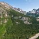 Winding highway cuts through a dense pine forest in a mountain valley with snow-capped peaks in the distance