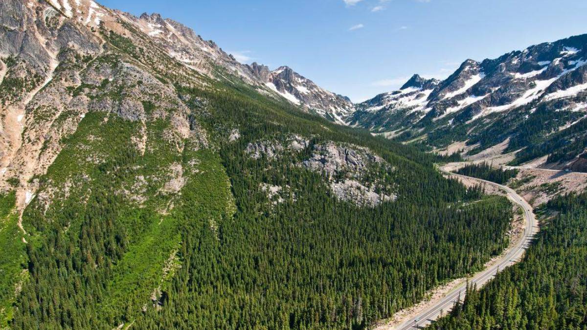 Winding highway cuts through a dense pine forest in a mountain valley with snow-capped peaks in the distance