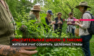 новости штата Вашингтон на slavigo.com