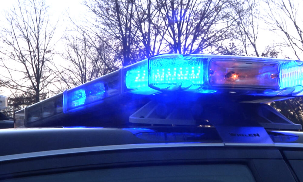 Police car roof with flashing blue emergency lights, evening scene with bare trees in background