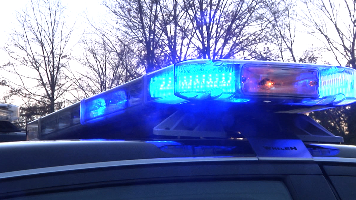 Police car roof with flashing blue emergency lights, evening scene with bare trees in background