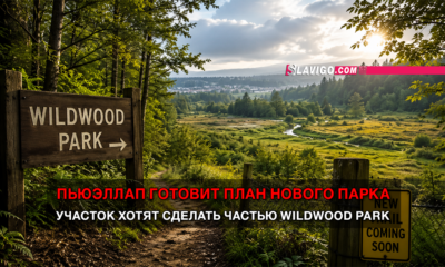 свежие новости сиетла только на slavigo.com