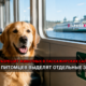 свежие новости сиетла только на slavigo.com
