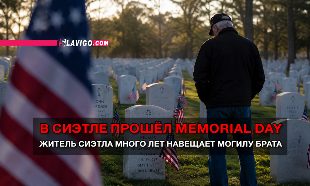 свежие новости сиетла только на slavigo.com