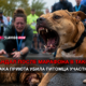 читай свежие новости Сиэтла и пригорода на slavigo.com