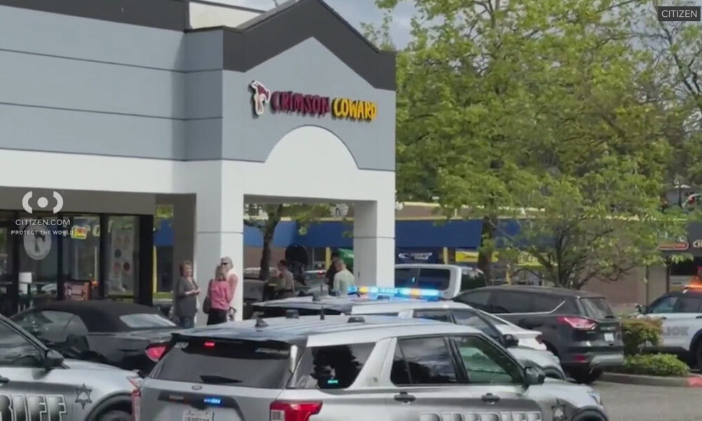 Police cars with flashing lights block a shopping center lot in front of a storefront, with pedestrians nearby.