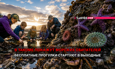 новости штата Вашингтон на slavigo.com
