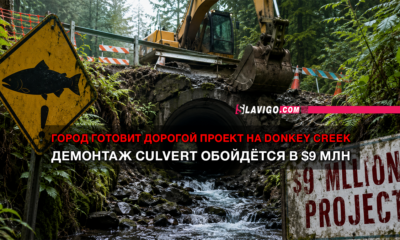 новости штата Вашингтон на slavigo.com