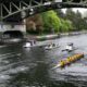 Rowing race on a river beneath a large bridge, crews in yellow uniforms with support boats nearby.