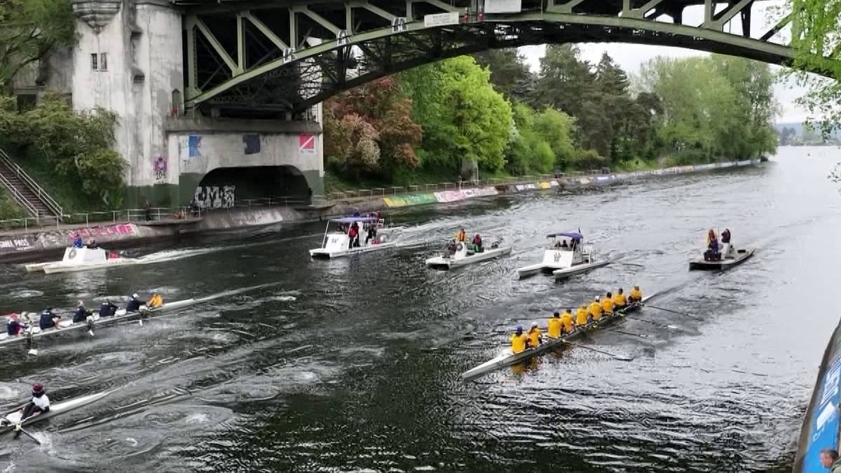 Rowing race on a river beneath a large bridge, crews in yellow uniforms with support boats nearby.