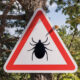 Triangular warning sign with a black tick silhouette, warning of ticks in the area.
