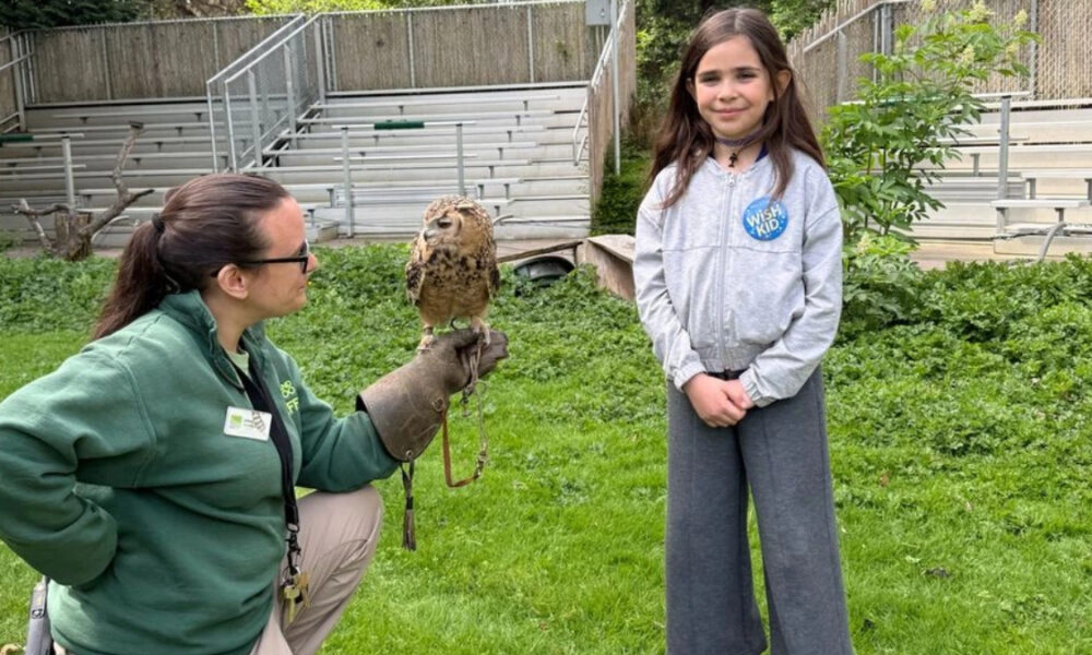 Wildlife educator kneels in a grassy outdoor area, holding an owl on a gloved hand while a young girl watches attentively.