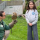 Wildlife educator kneels in a grassy outdoor area, holding an owl on a gloved hand while a young girl watches attentively.