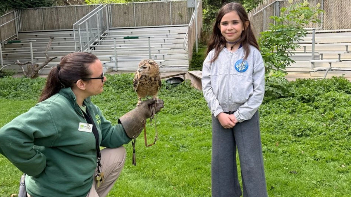 Wildlife educator kneels in a grassy outdoor area, holding an owl on a gloved hand while a young girl watches attentively.