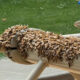 Swarm of honeybees clustered on a white railing; several are in flight nearby against a green background.