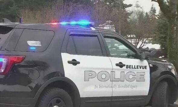 Bellevue Police SUV with blue and red emergency lights flashing, side view
