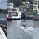 Harbor collage: left shows a speeding boat on a river, middle features a small speedboat near a docked white vessel, right depicts a small boat by rocks and buildings.
