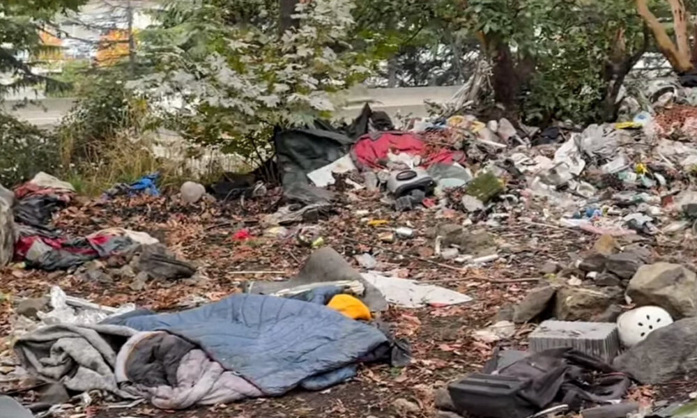Piles of trash and discarded belongings scattered under trees, including blankets, bags, and plastic debris.