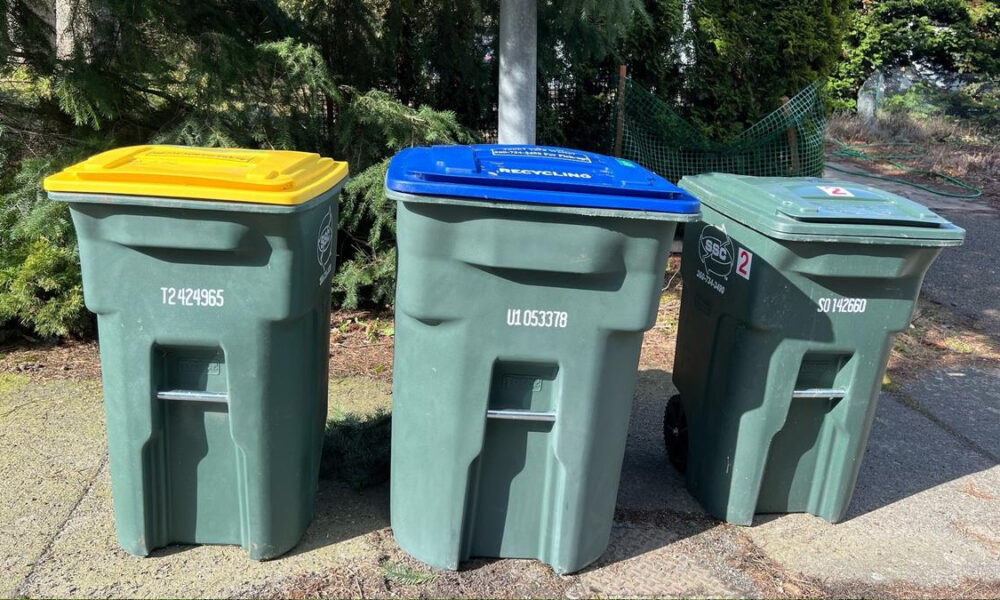 Three wheeled trash bins with yellow, blue, and green lids lined up along a sidewalk near trees in a sunny outdoor area