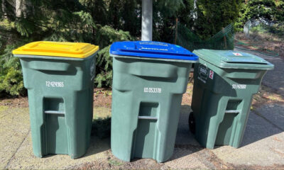 Three wheeled trash bins with yellow, blue, and green lids lined up along a sidewalk near trees in a sunny outdoor area