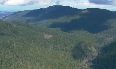 Aerial view of a dense evergreen forest covering rolling mountain ridges under a partly cloudy sky.