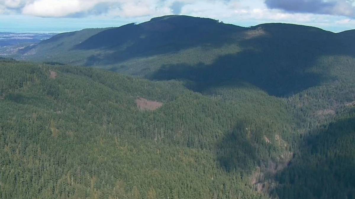 Aerial view of a dense evergreen forest covering rolling mountain ridges under a partly cloudy sky.