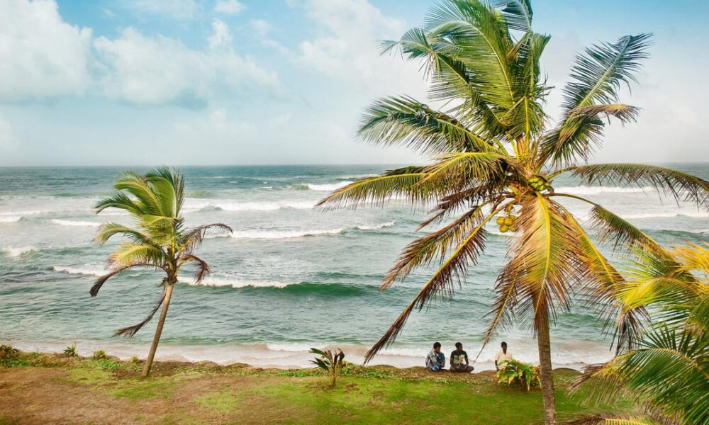 Beach scene with palm trees, turquoise waves, and three people sitting on the shore near the water's edge.