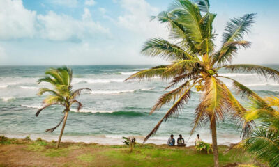Beach scene with palm trees, turquoise waves, and three people sitting on the shore near the water's edge.